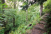 Walking trail in St. Mark's Greenbelt St. Mark's Greenbelt, stairs to walking trail, 2014-10-13.jpg