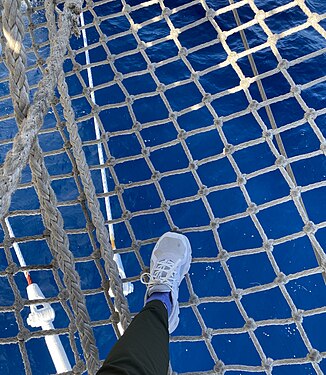 Standing on Knotted bowsprit netting (Star Flyer)