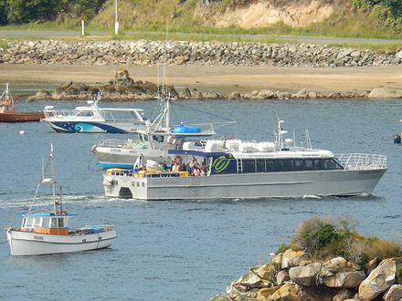 A ferry approaching Stewart Island