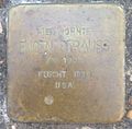 image=https://commons.wikimedia.org/wiki/File:Stolperstein_Hadamar_Hammelburg_3_Eugen_Strauss.jpg