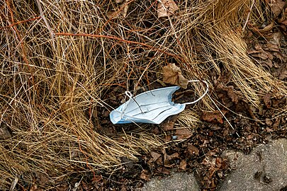 Surgical mask in dry grass at Brädgårdsvägen in Brastad