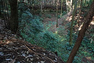 Suwahara Castle Ninomaru mikazukibori.jpg