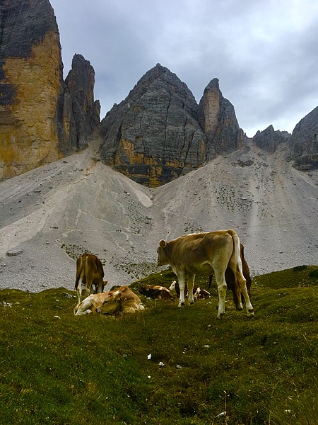 File:Tempo di buono.jpg