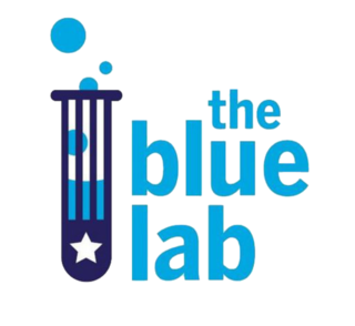 <span class="mw-page-title-main">Blue Lab</span> Campaign consulting company