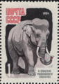 * Nomination Stamp Asian elephant. Resolution 600 dpi. --Matsievsky 16:13, 27 October 2022 (UTC) * Decline  Oppose Speedy decline. Below 2 MP. --Robert Flogaus-Faust 21:08, 27 October 2022 (UTC)
