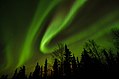 The northern lights just north of Fairbanks, Alaska.jpg