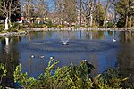 The pond and fountain in the park