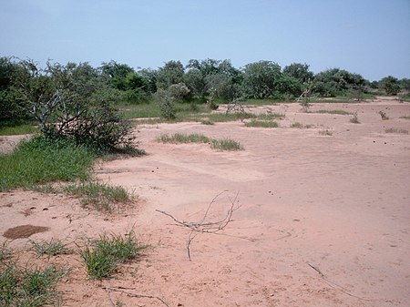 Vegetation band in a tiger bush near Zamarkoye, Burkina Faso. Tigerbusch Vegetationsband Marco Schmidt 0773.jpg