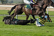 Un cheval à terre, son jockey se protège la tête.