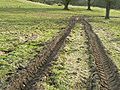 Tractor tracks