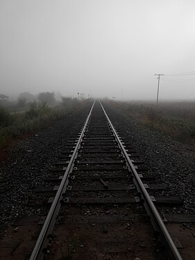 Train Tracks in the Fog