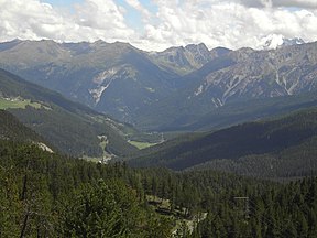 Blick ins Münstertal