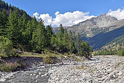 Vallée du Guil en amont de l'Echalp dans le Queyras