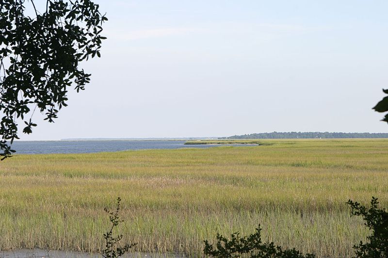 File:Vantage point from Colonial Fort Morris, Georgia..jpg