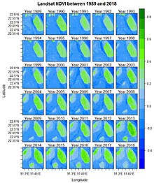 Vegetation succession at the Bhashan Char, Jahajer char, and Sandwip islands [2]