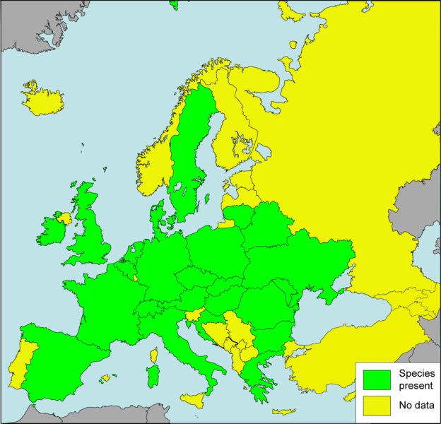 File:Vertigo-moulinsiana Presence in European countries.png
