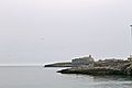 Vieste , The Harbor - panoramio (5).jpg