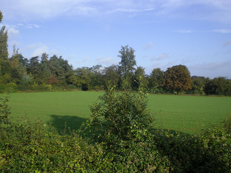 File:View North from Guildford Road.JPG