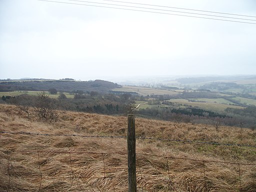 View from Wardens' Way - geograph.org.uk - 1702829
