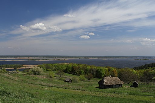 Vitachev view