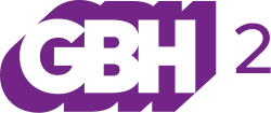 WGBH-TV 2 logo (2020).svg