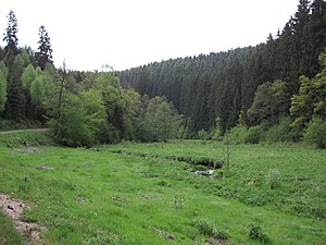 Wadrilltal nature reserve between Felsenmühle and Grimburg (May 2009)