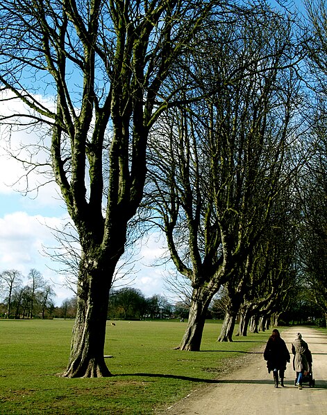 File:Walkers in East Park - geograph.org.uk - 1746514.jpg