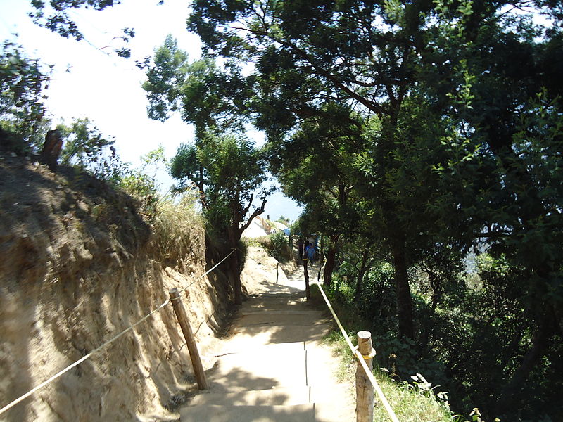 File:Way to top station munnar.JPG