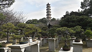 Jardin des penjing et tour de pagode en arrière plan