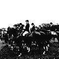 Werner Haberkorn - Prática de equitação 8.jpg