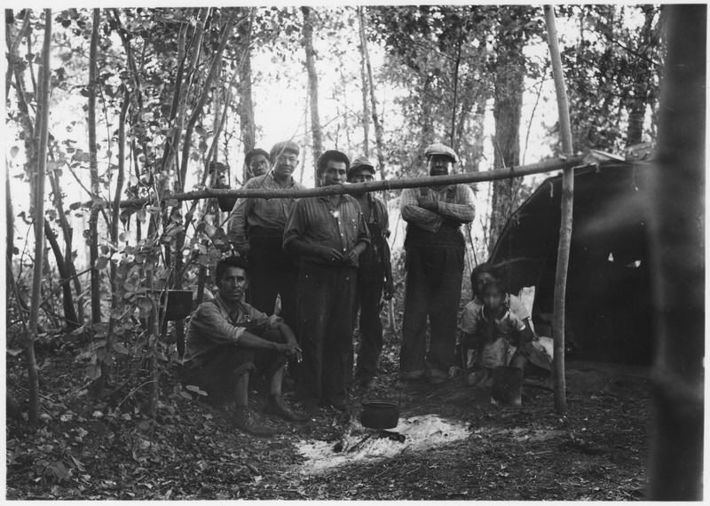 File:Wild rice camp. Rural Minnesota - NARA - 285399.tif