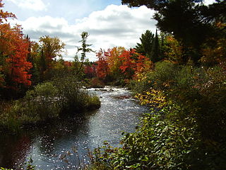 Willow River (Tomahawk River tributary)