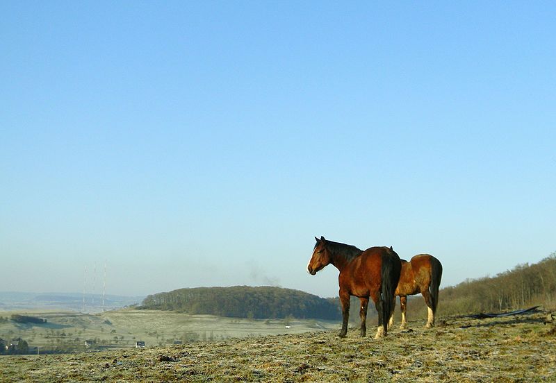 File:Wincrange, Luxembourg - panoramio.jpg