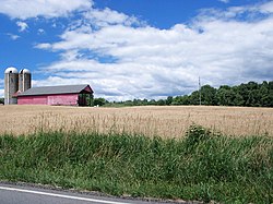 A wheat field, barn and silos along Route 82