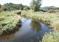 İlçenin adını taşıyan Wing River, Verndale yakınlarındaki resimde gösterildiği gibi