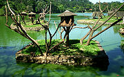 Monkey islands at the São Paulo Zoo