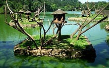 Monkey islands, Sao Paulo Zoo Zoo-sp.jpg