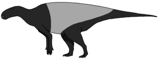 <i>Zuoyunlong</i> Extinct genus of dinosaurs