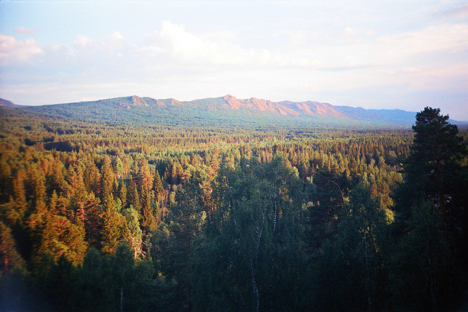 бобруйск луковая гора