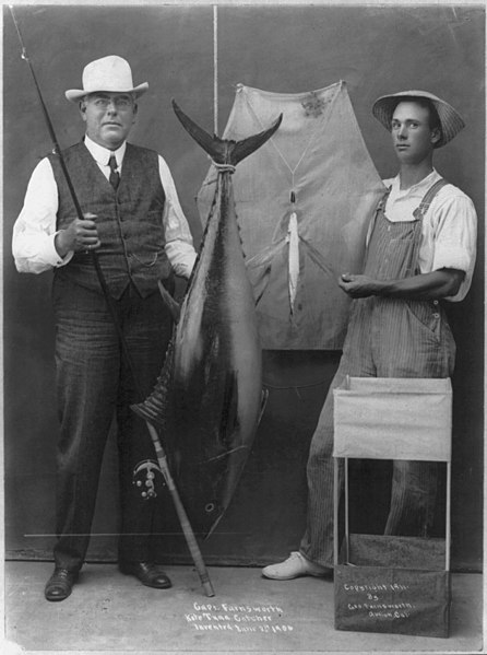 File:"Capt. Farnsworth's Kite Tuna Catcher, Inv. 1906 LCCN2006682591.jpg