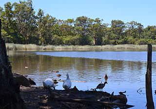 <span class="mw-page-title-main">Glenbrook Lagoon</span> Reservoir