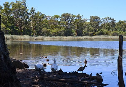 How to get to Glenbrook Lagoon with public transport- About the place