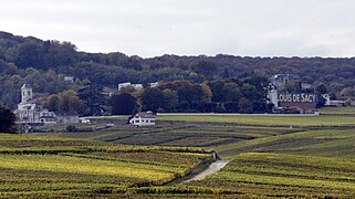 La población de Verzy situada entre un bosque y viñedos de Champagne.