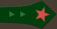 нарукавный знак 1922