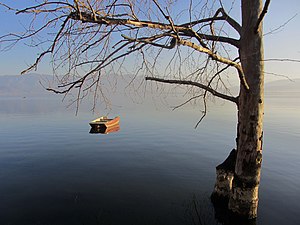 Дојрански платани