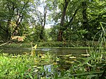 Марлинский (Золотой) канал с двумя гидрозатворами, водосбросной трубой и рядовой посадкой деревьев по обоим берегам