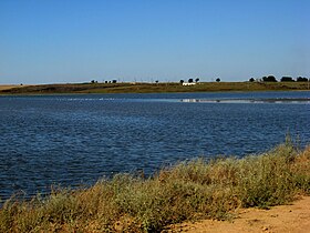 Illustrasjonsbilde av artikkelen Lake Solone