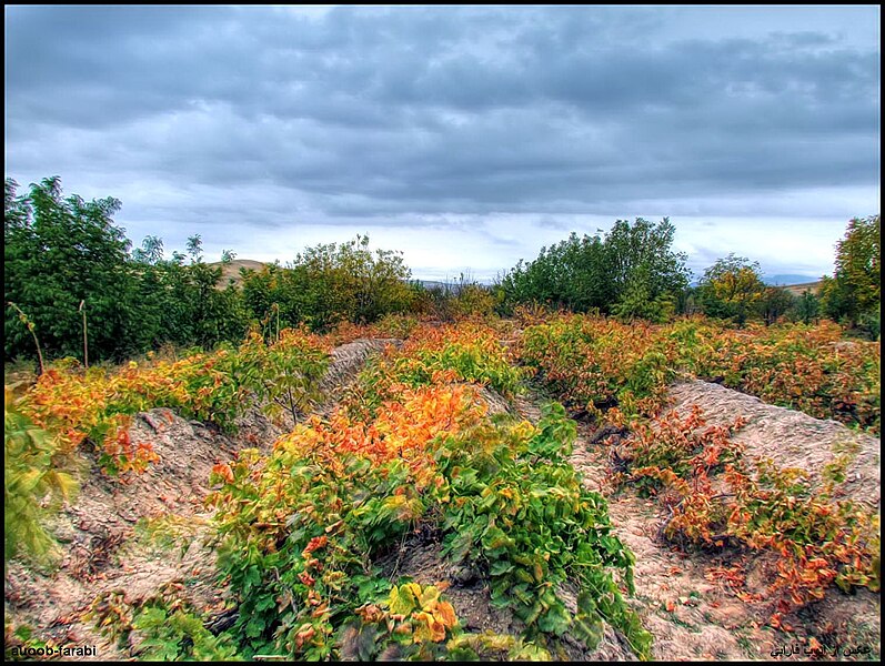 File:دیدنیهای پاییز مراغه - panoramio (10).jpg