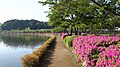 千波湖 - panoramio (27).jpg