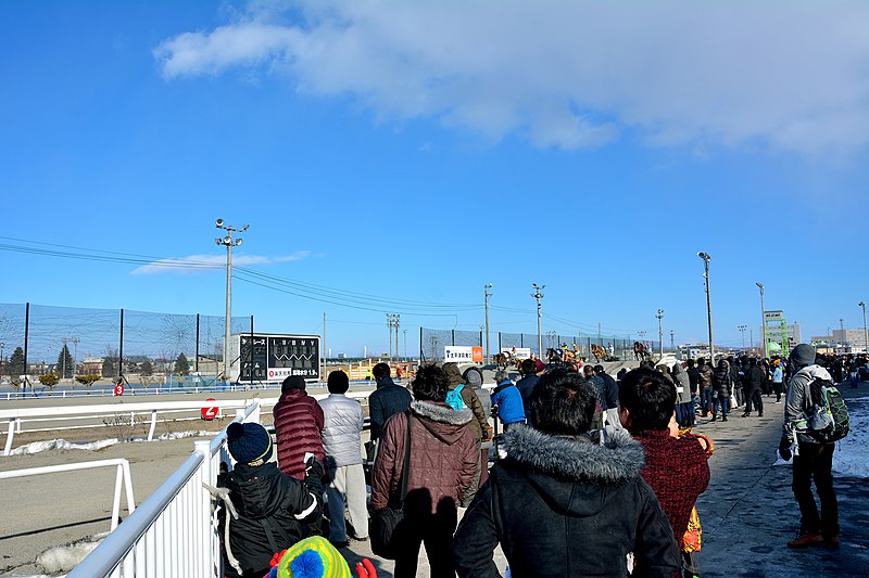 File 帯広競馬場で第2障害を越えてゆく人馬を見守る観客 16年1月1日の第4競走 Jpg Wikimedia Commons